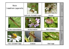 Leporello-Insekten-1-Seite-1.pdf